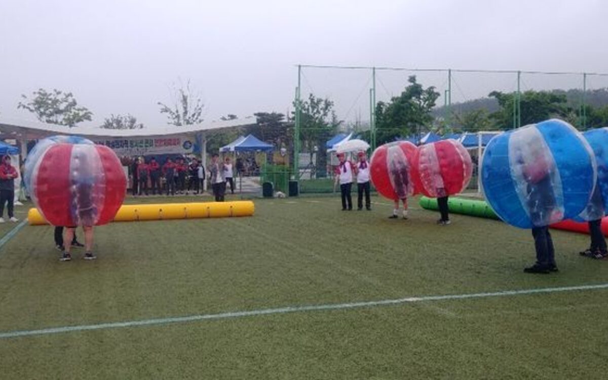 사내 체육대회 예산 이렇게 ...